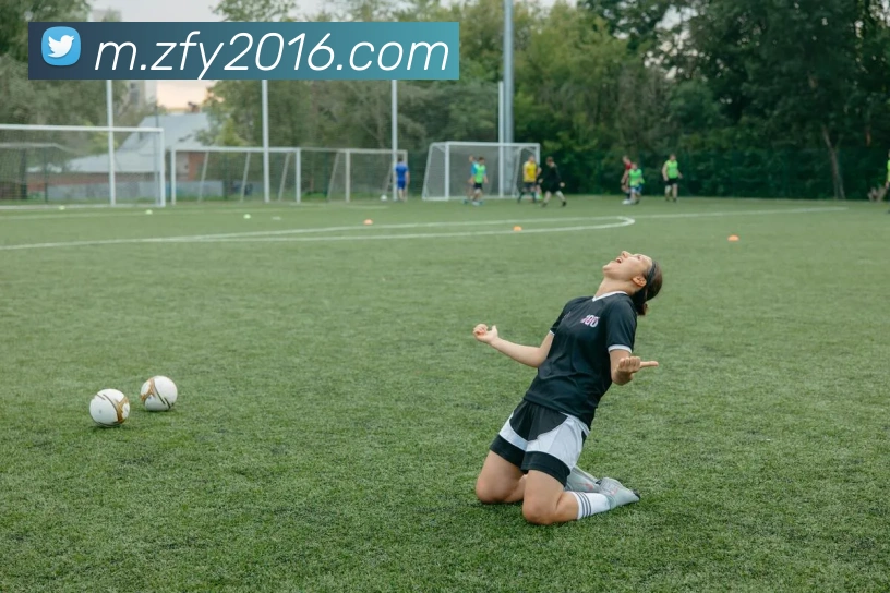 互动解说服务